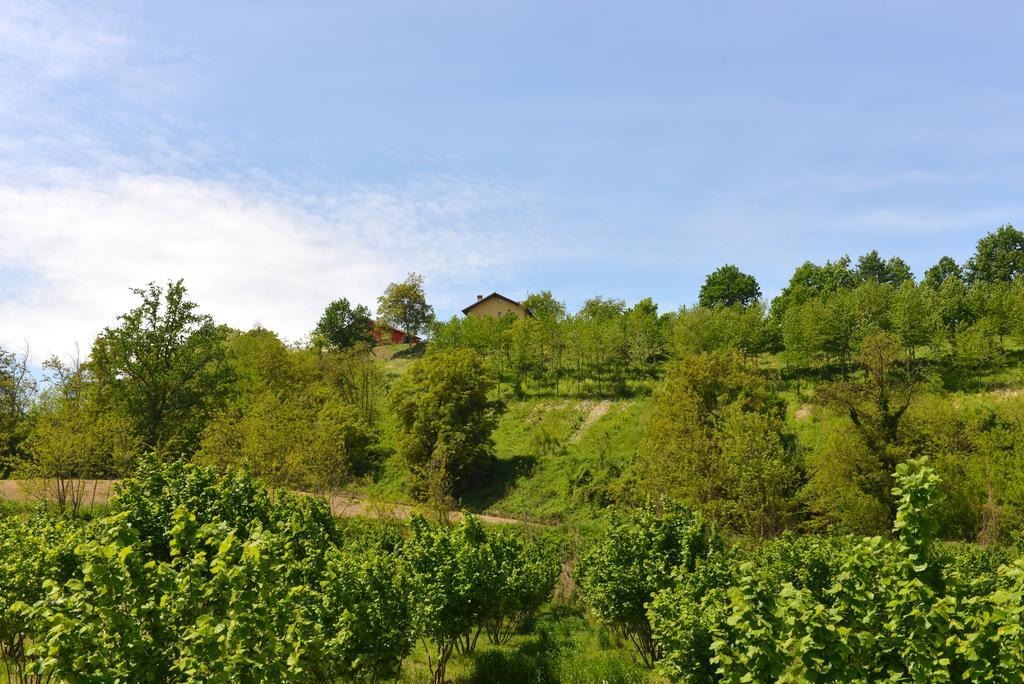 Casa Vacanze Il Brichet Mondovì Стая снимка